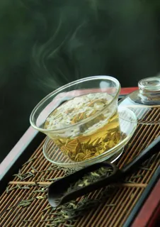 炒茶兰雪竹叶青图片 炒茶兰雪竹叶青图片