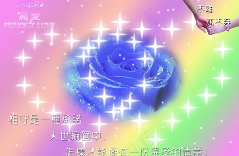 浪漫情人节图片