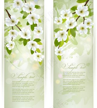 绿叶鲜花春天背景图片