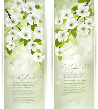 绿叶鲜花春天背景图片