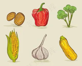 手绘蔬菜