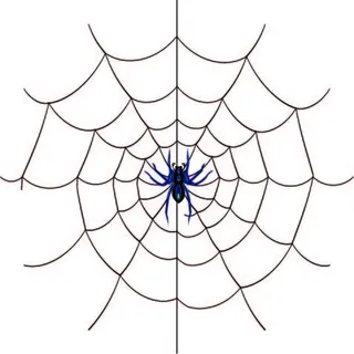 蜘蛛网