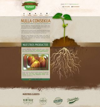 国外网页模板首页模板企业网站模板