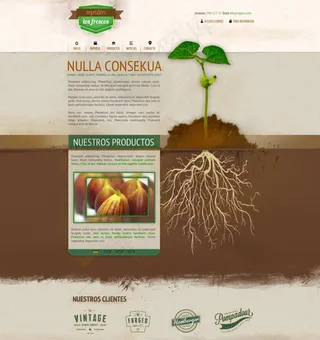 国外网页模板首页模板企业网站模板