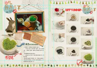 小清新画册彩页菜单咖啡教程