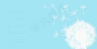 蒲公英笔刷图片