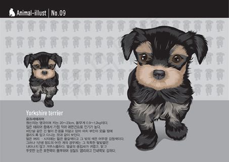 可爱的古代牧羊犬