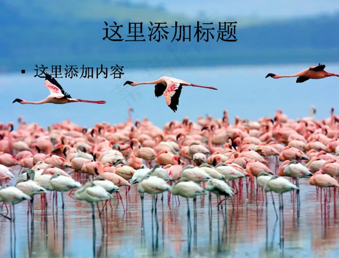 世界遗产风光7