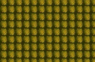 金色花纹图案图片