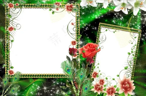 精美绿色百合花照片边框模板图片