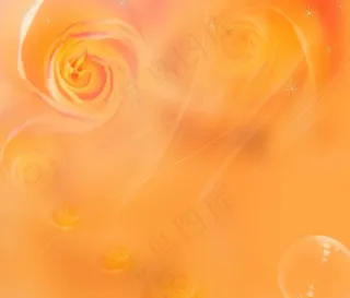 浪漫典雅婚纱梦幻模板图片