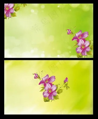 绿色名片背景PSD分层素材