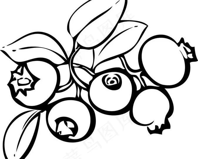 蓝莓黑白描线图片ai矢量模版下载