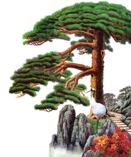 卡通手绘迎客松中国风png素材