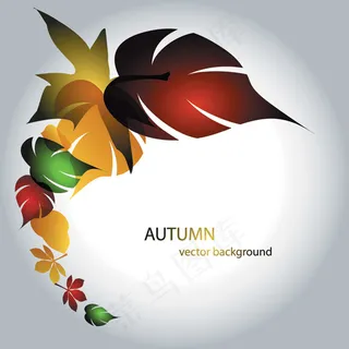 矢量动感时尚枫叶背景素材