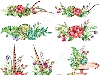 手绘彩色花卉树叶荷花PNG免扣素材