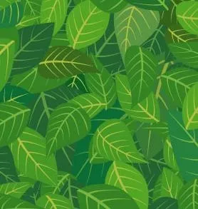 植物缤纷背景矢量图084ai矢量模版下载