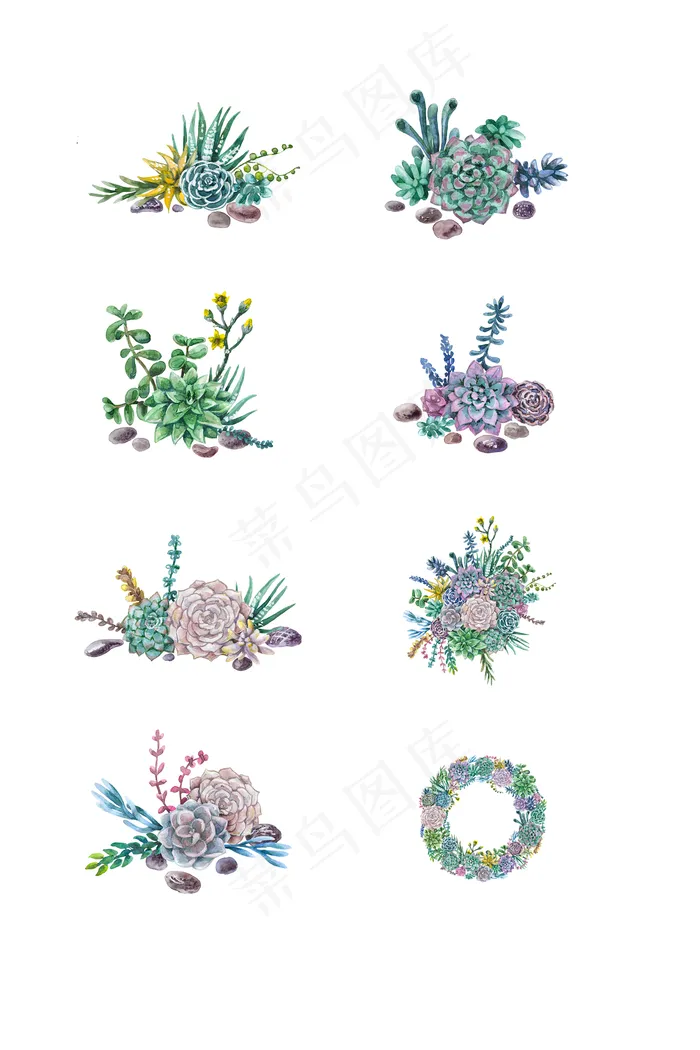 多肉植物花朵花边透明元素(2362X3543(DPI:300))psd模版下载