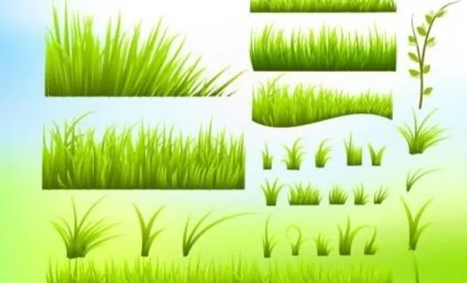绿草向量