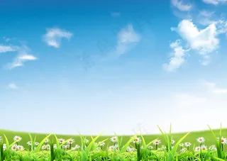 清新蓝天花朵高清背景图片