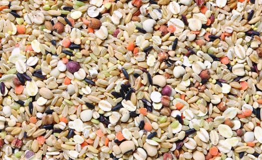 煮粥米 米背景图片