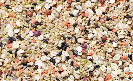 煮粥米 米背景图片 煮粥米 米背景图片