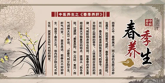 春季养肝展板(7480X3543(DPI:100))psd模版下载
