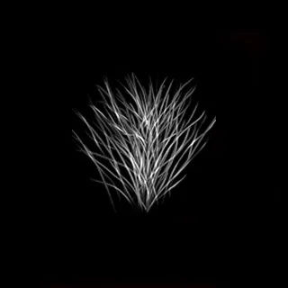 theodora 美女盔甲士兵 （...