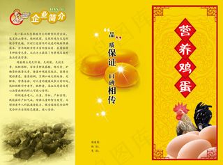 鸡蛋广告宣传单设计