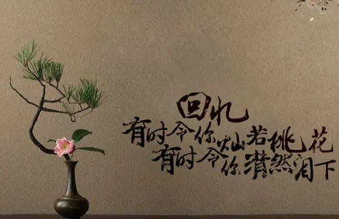 灿若桃花QQ空间flash