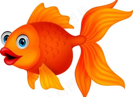 金鱼图片
