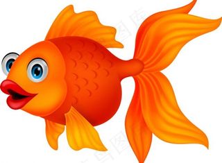 金鱼图片