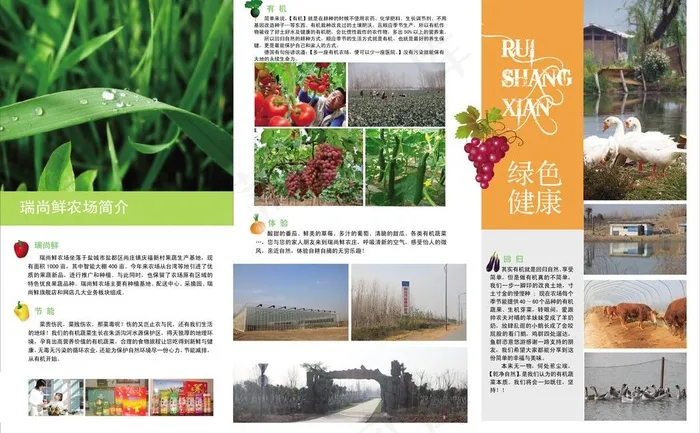 蔬菜瓜果三折页 传单psd模版下载