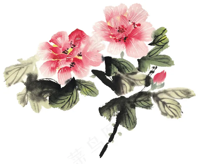 牡丹水墨画