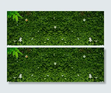 绿草背景墙背景  绿草背景墙背景