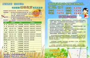 儿童艺术培训招生宣传单