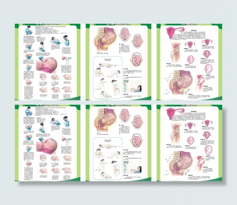 待产室图解挂牌图片(210X297)cdr矢量模版下载