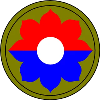 红蓝花剪辑艺术