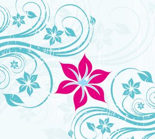 双叶戏红花
