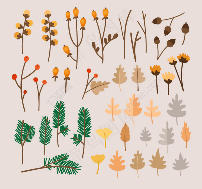 树枝与树叶设计