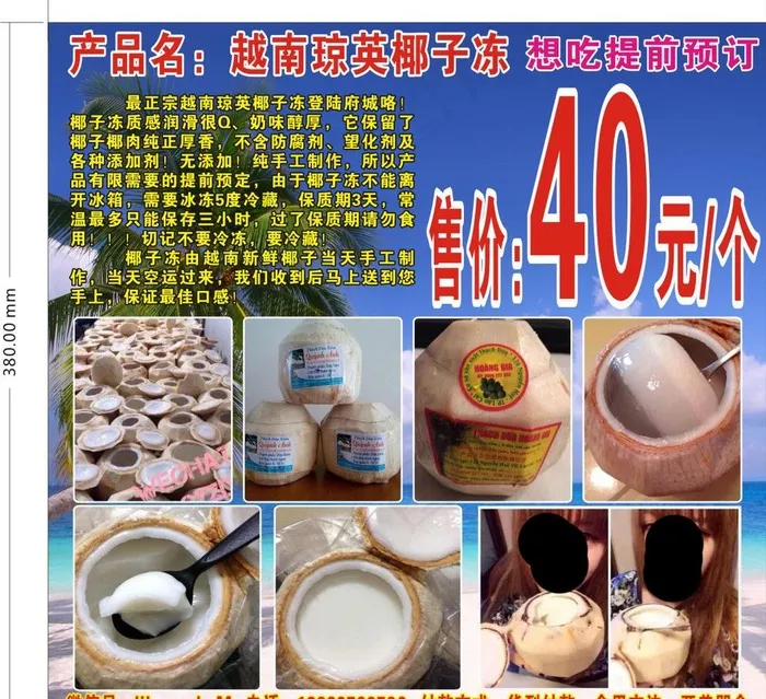 椰子冻 宣传页图片cdr矢量模版下载