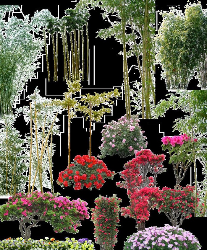 植物素材图片(4600X5906(DPI:300))psd模版下载