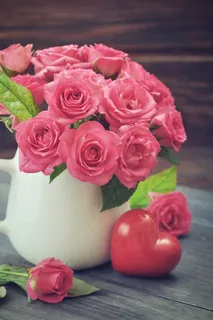 粉色玫瑰花静物设计素材 粉色玫瑰花静物设计素材
