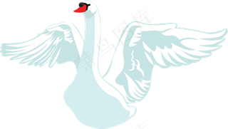 免抠png图片ps素材天鹅