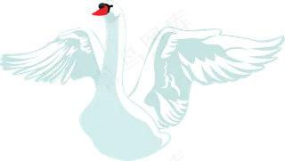 免抠png图片ps素材天鹅