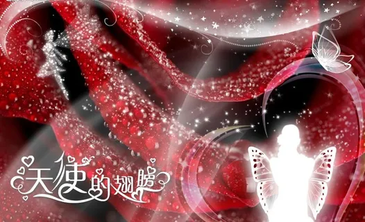 天使的翅膀图片 天使的翅膀图片