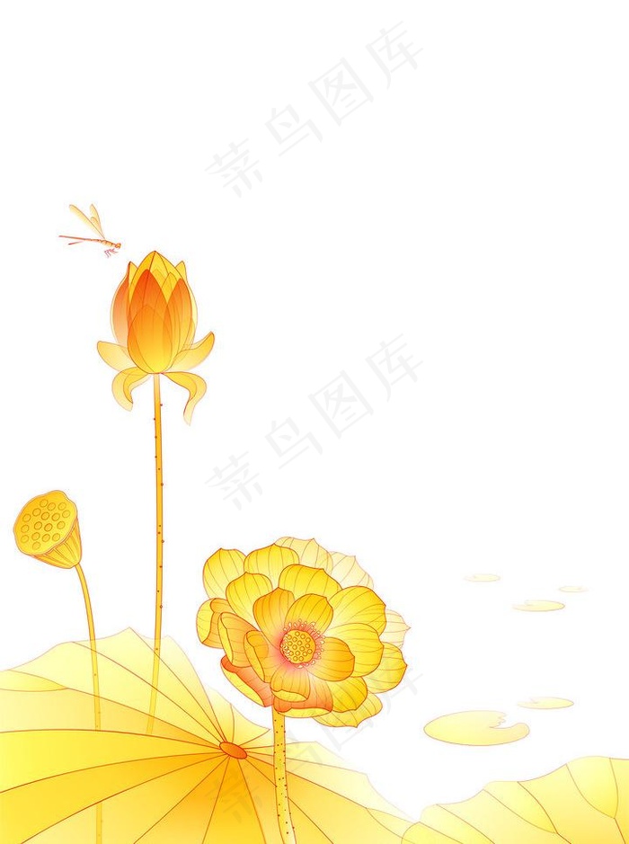 荷花图片cdr矢量模版下载