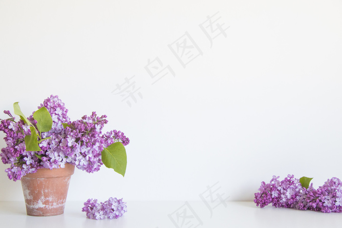 简约小清新文艺风插花静物摆拍背景