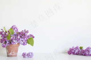 简约小清新文艺风插花静物摆拍背景