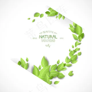 创意绿叶文本模板矢量素材-2